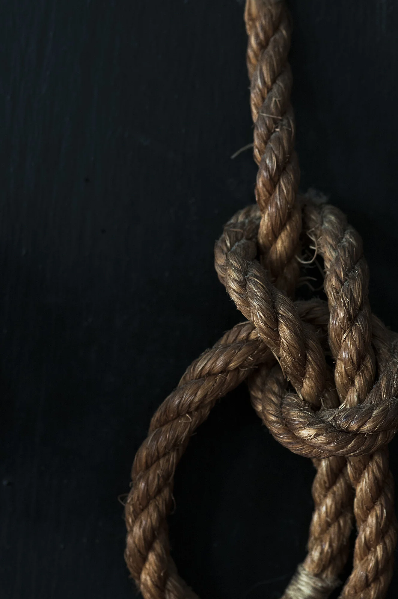 MickeySmith_Calliope IV.jpg