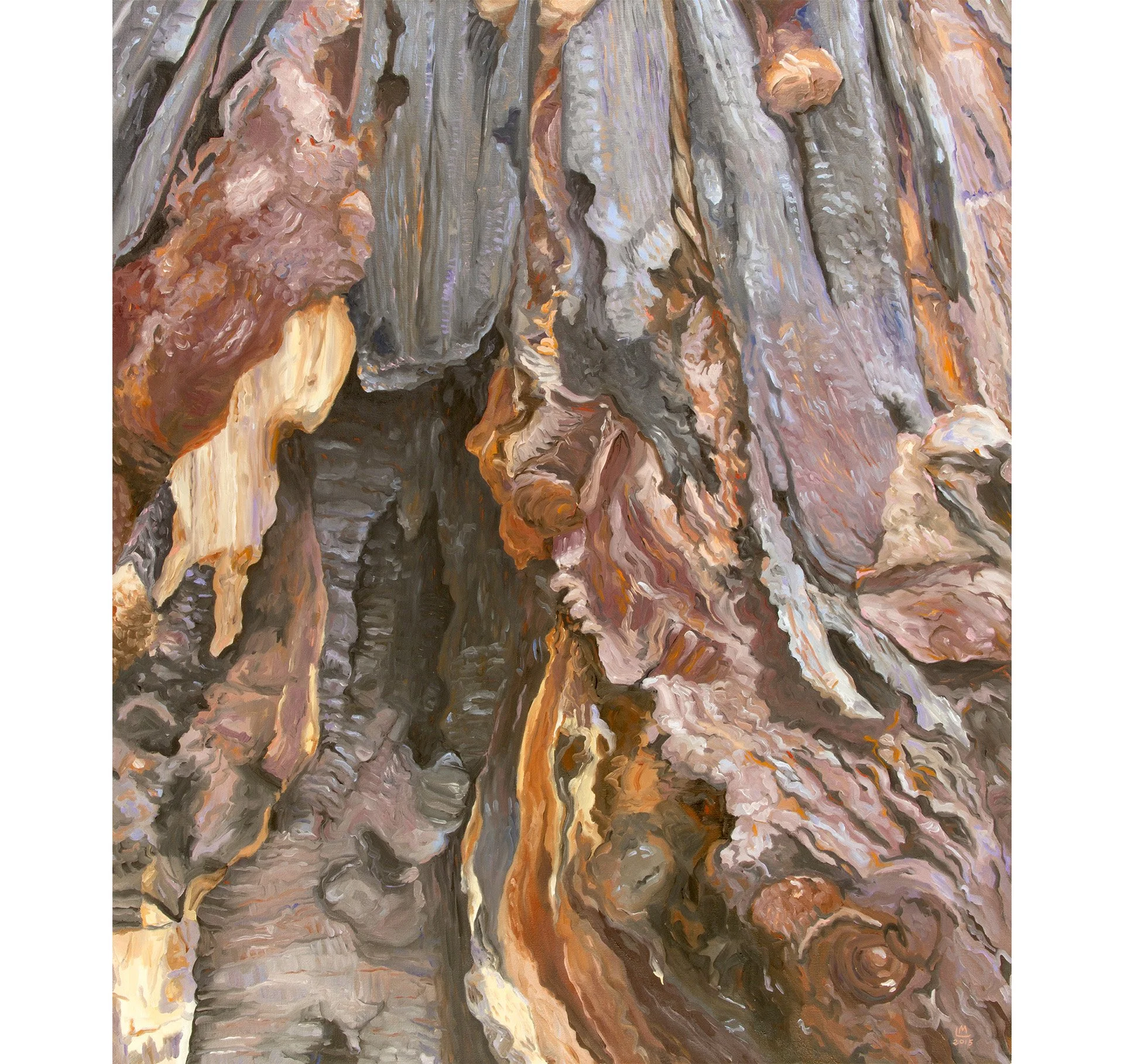 Cavern - Prairie Creek Redwoods 40 × 34in - 2015