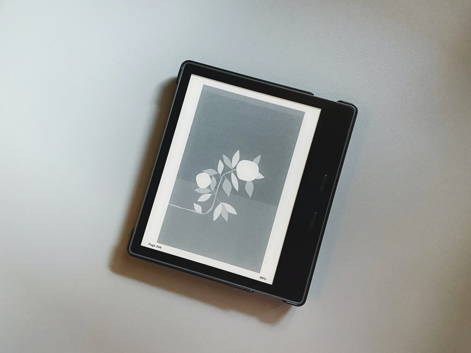 Tujuh Hal Tentang Kindle yang Wajib Diketahui: Metode Pembayaran Sampai Tips Berburu Buku Digital Murah