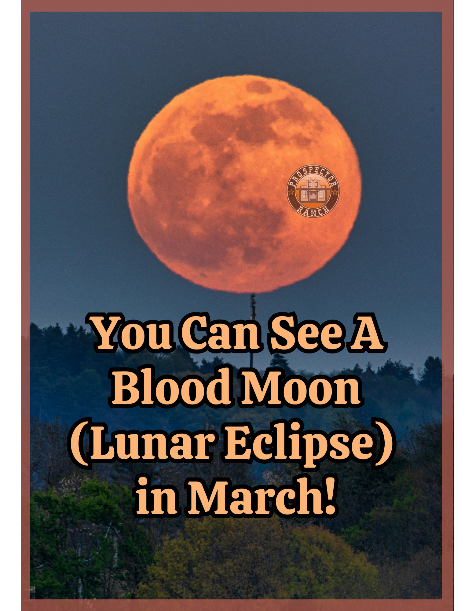 You Can See A Blood Moon (Lunar Eclipse) in March!