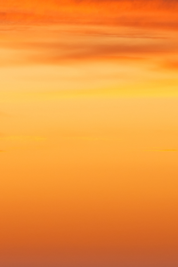 Untitled design (4).png