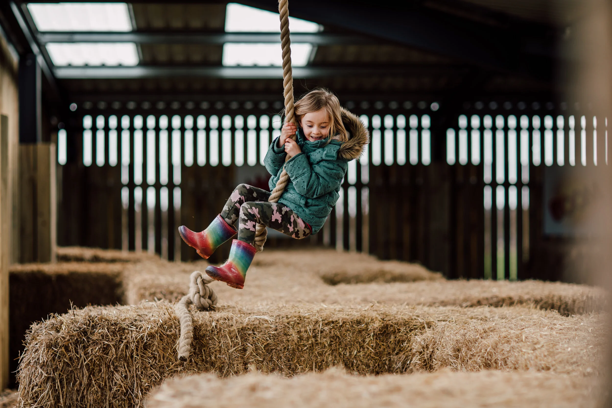 The Pink Pig Farm the-pink-pig-farm