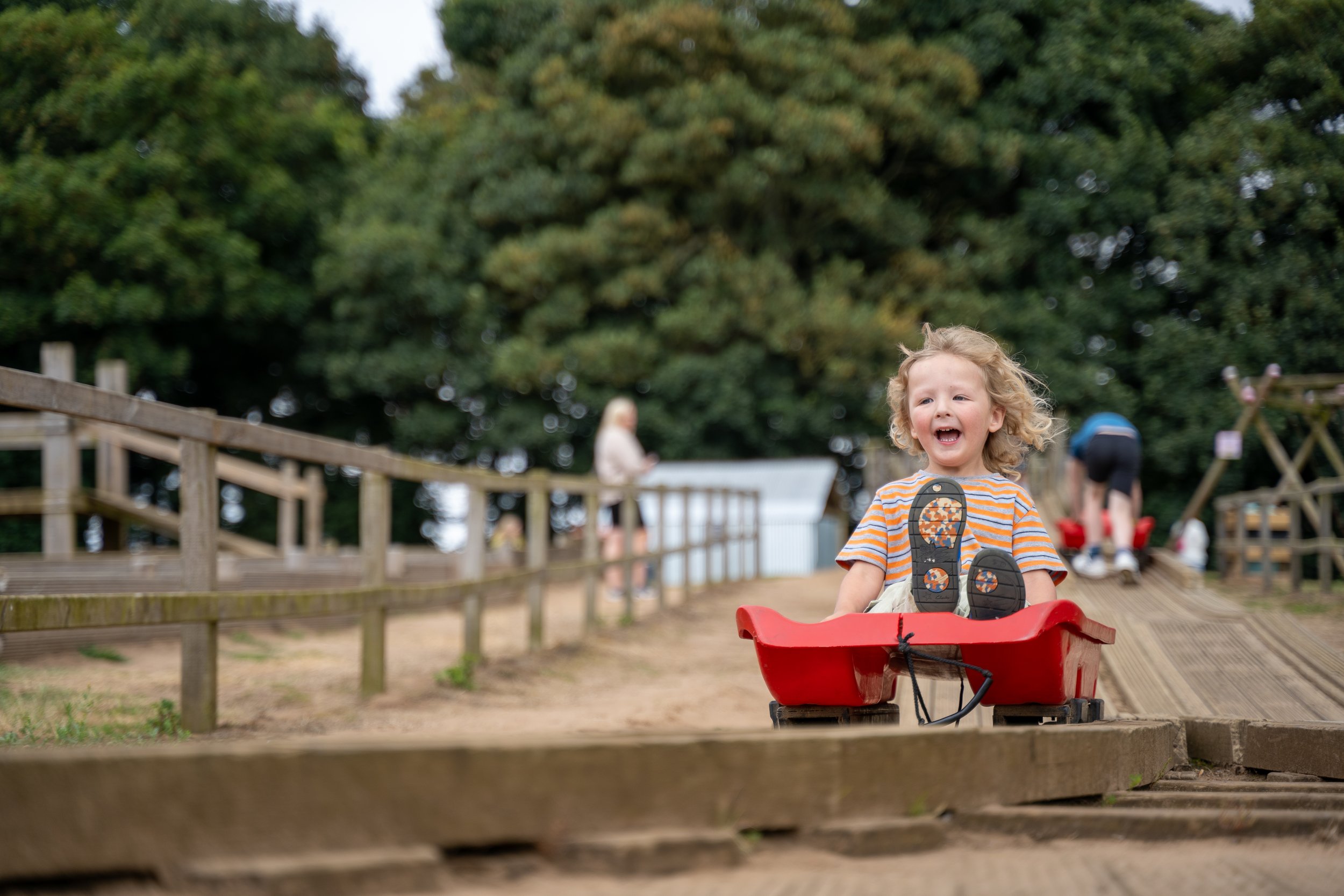 Pink Pig Farm_North Lincolnshire_Summer_2024_ (9).jpg