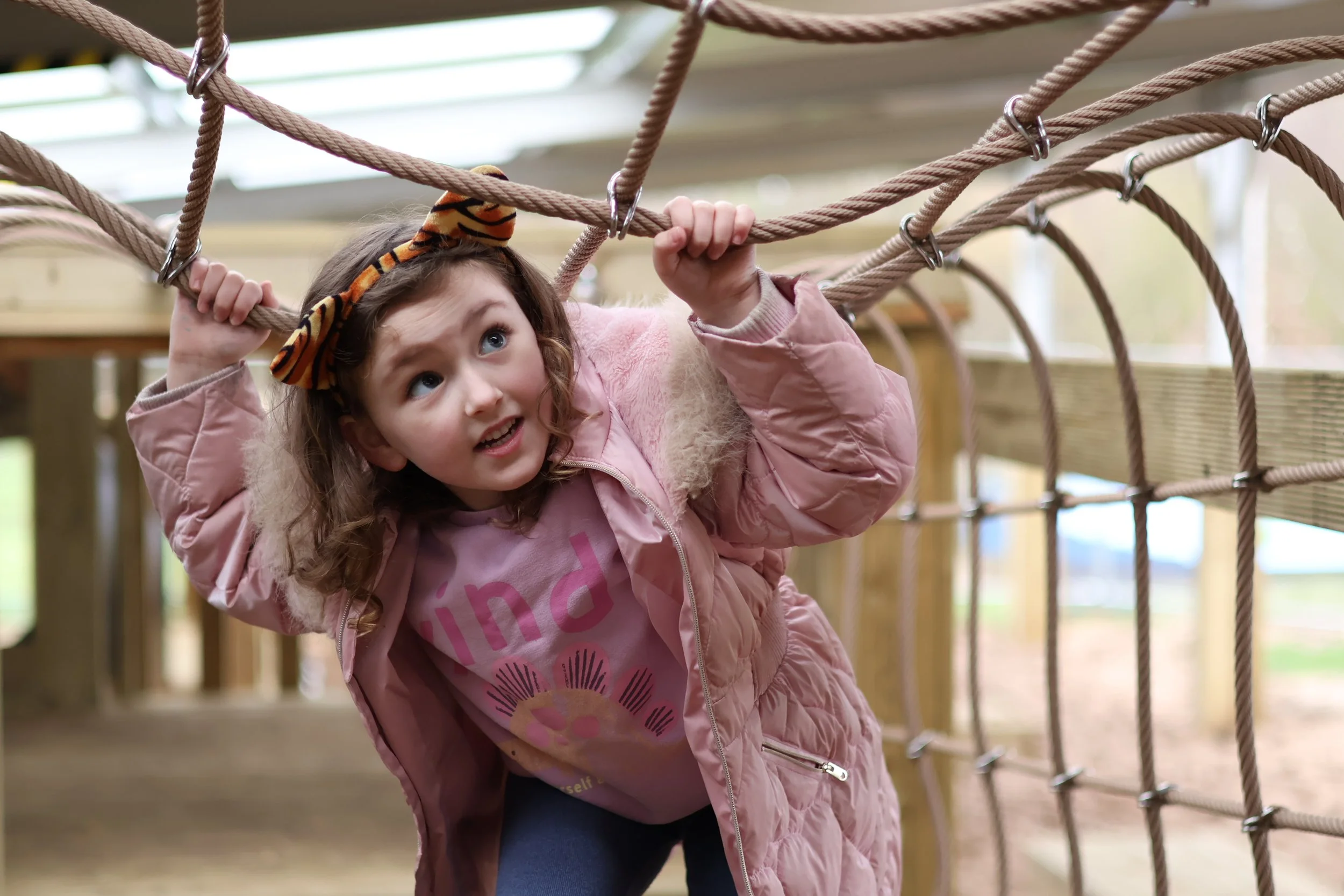 Pink Pig Farm Play Area