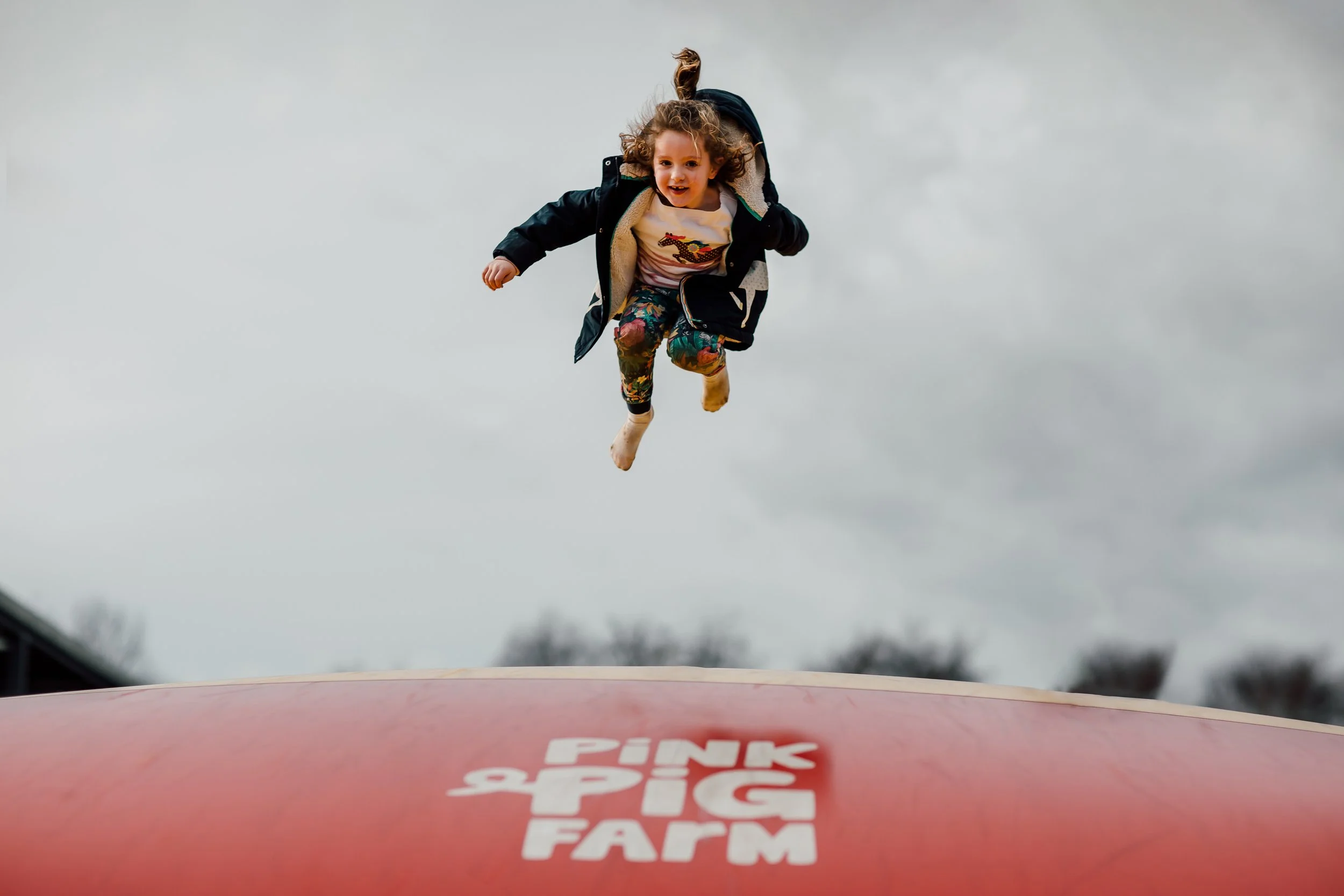Pink Pig Farm - 22nd February 2020-62 (1).jpg