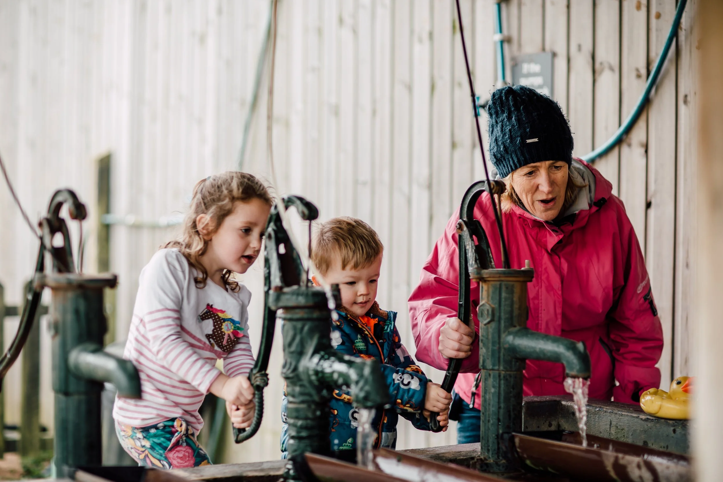 Pink Pig Farm - 22nd February 2020-41.jpg