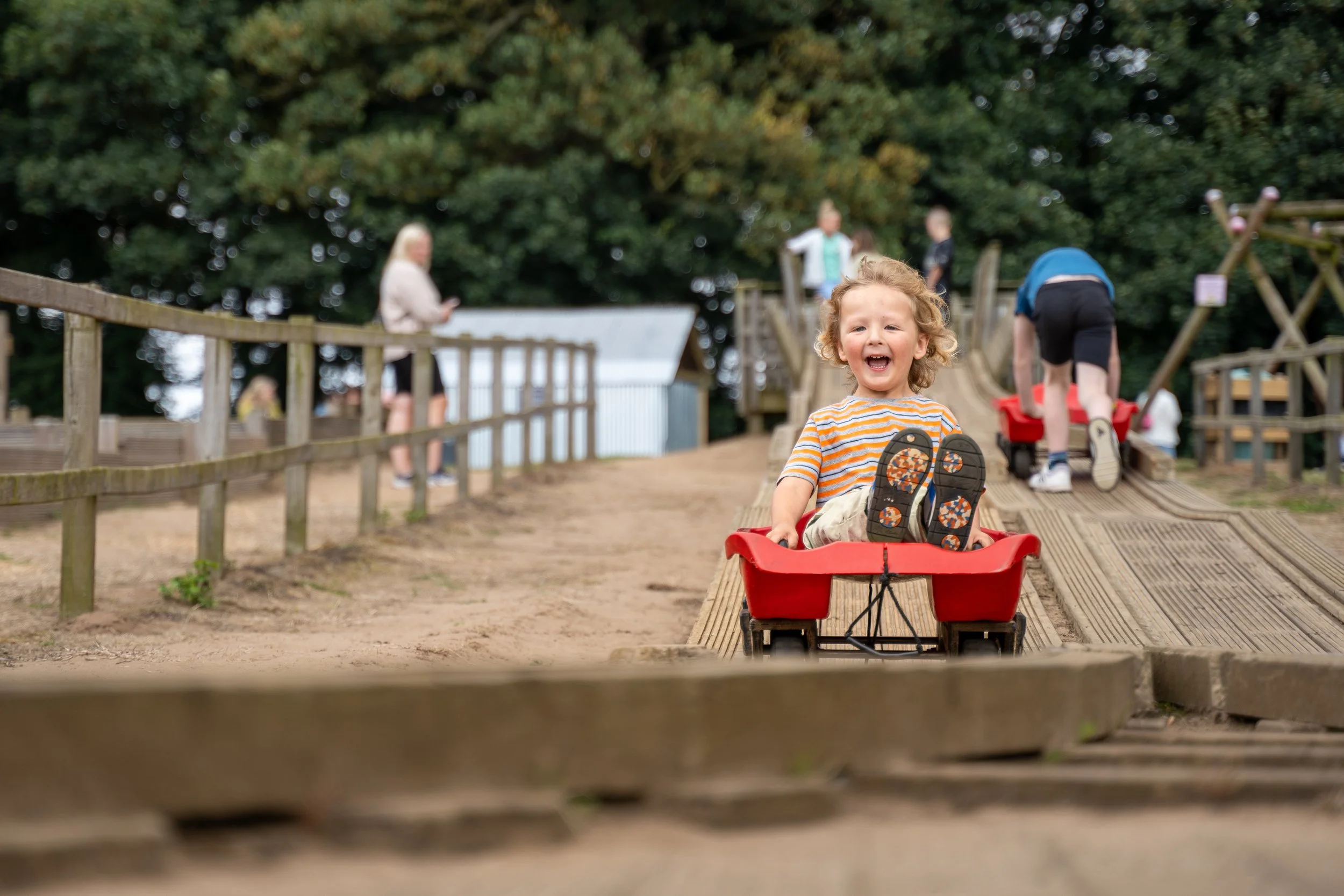 Pink Pig Farm_North Lincolnshire_Summer_2024_ (20).jpg
