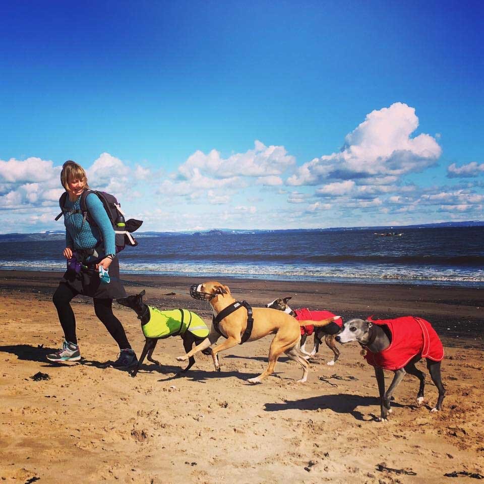 About Kai Liebold Edinburgh Dog trainer and walker Understanding Dogs