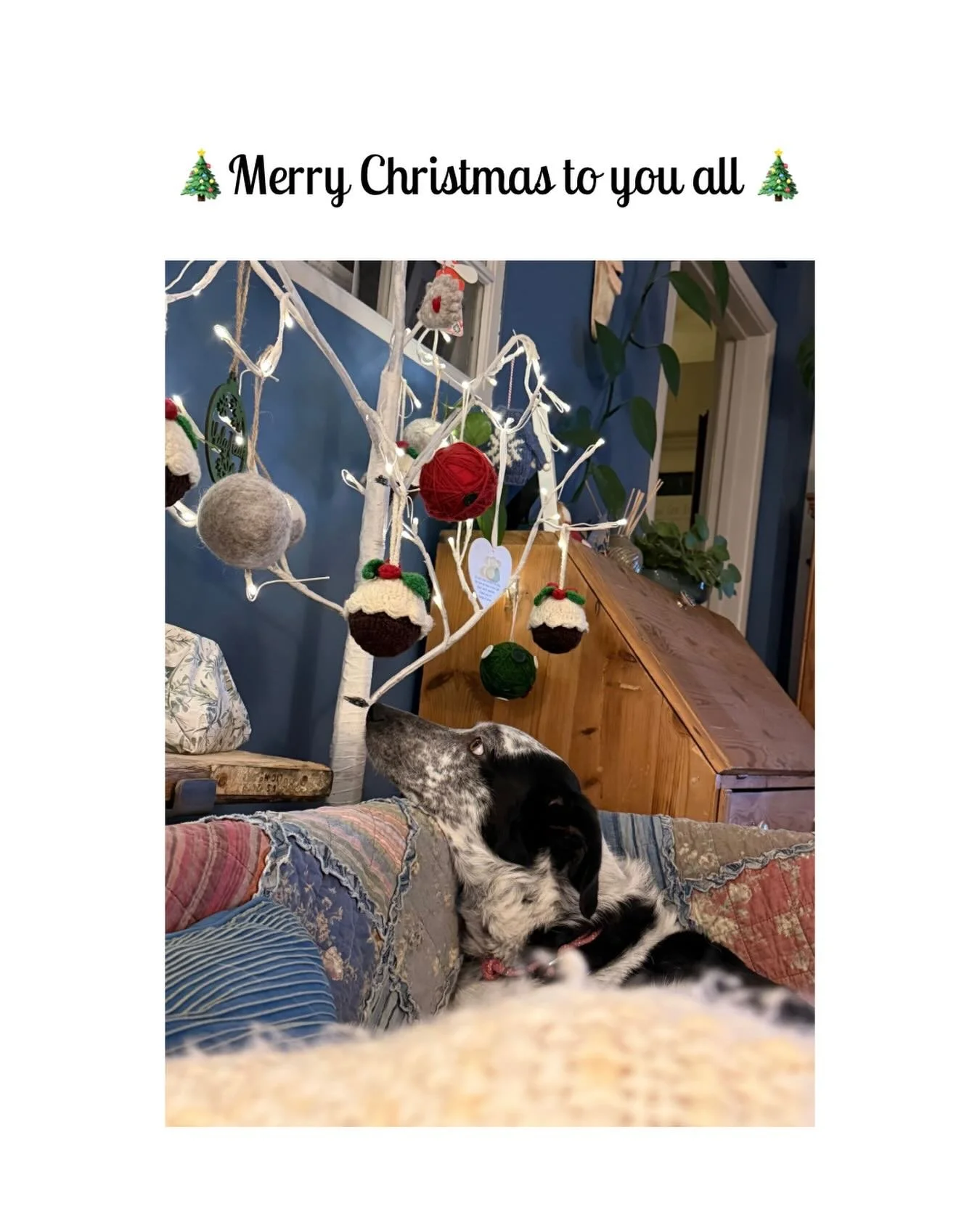 🎄💫 A very Merry Christmas to family friends, colleagues and followers past and present. Big love to you all 🤍💫🎄