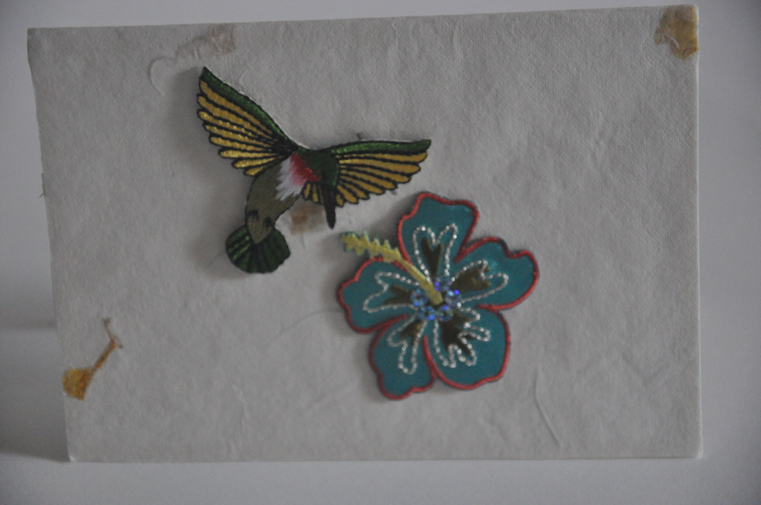 Hummingbird and Hibiscus