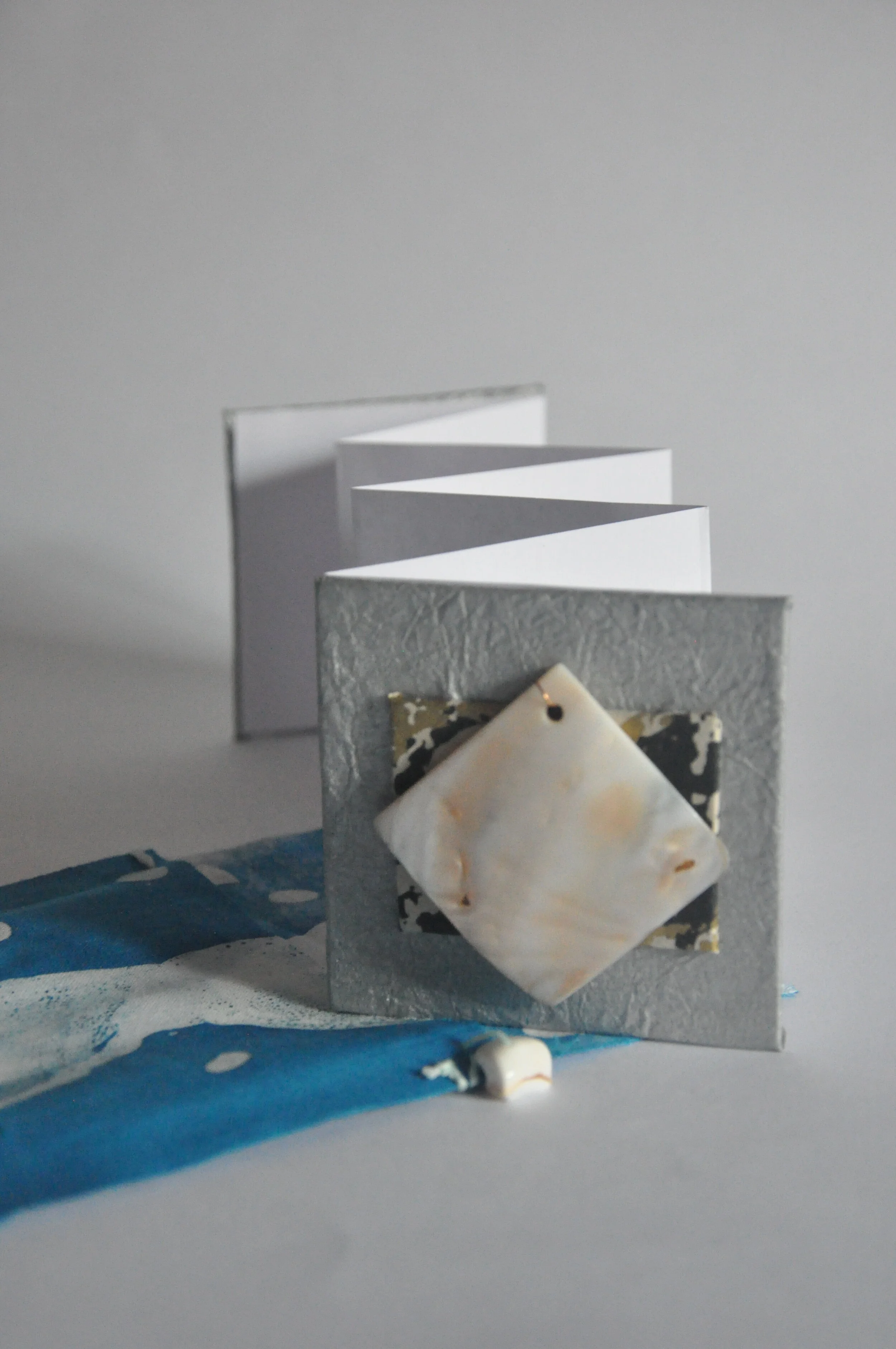 Mini Concertina book