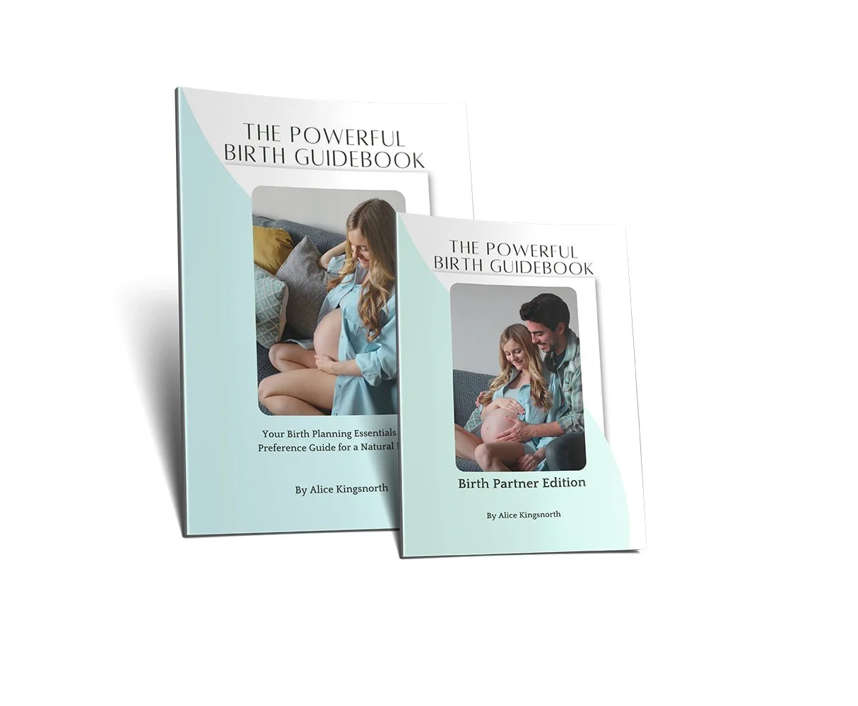 The Powerful Birth Guidebook