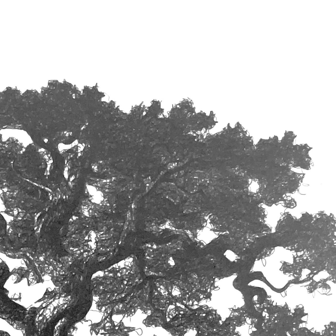 IMG_0236 (2).jpeg
