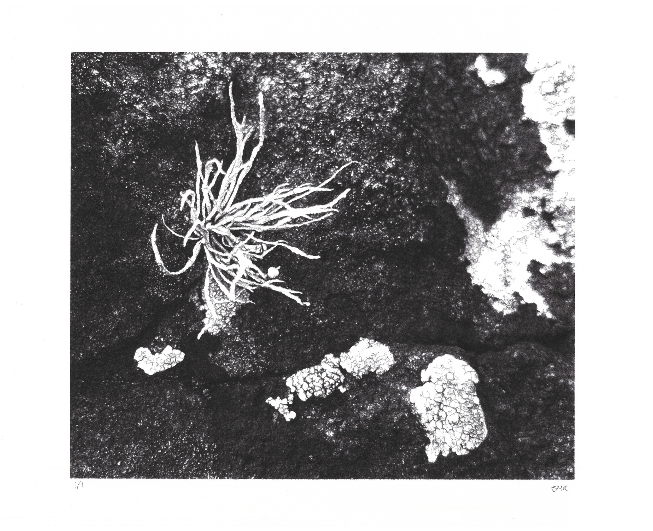 BDF947C1-2671-4DF5-AF91-77147DA96232_1_201_a.jpeg