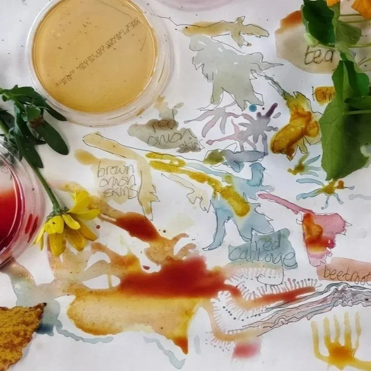 natural ink colours.jpg