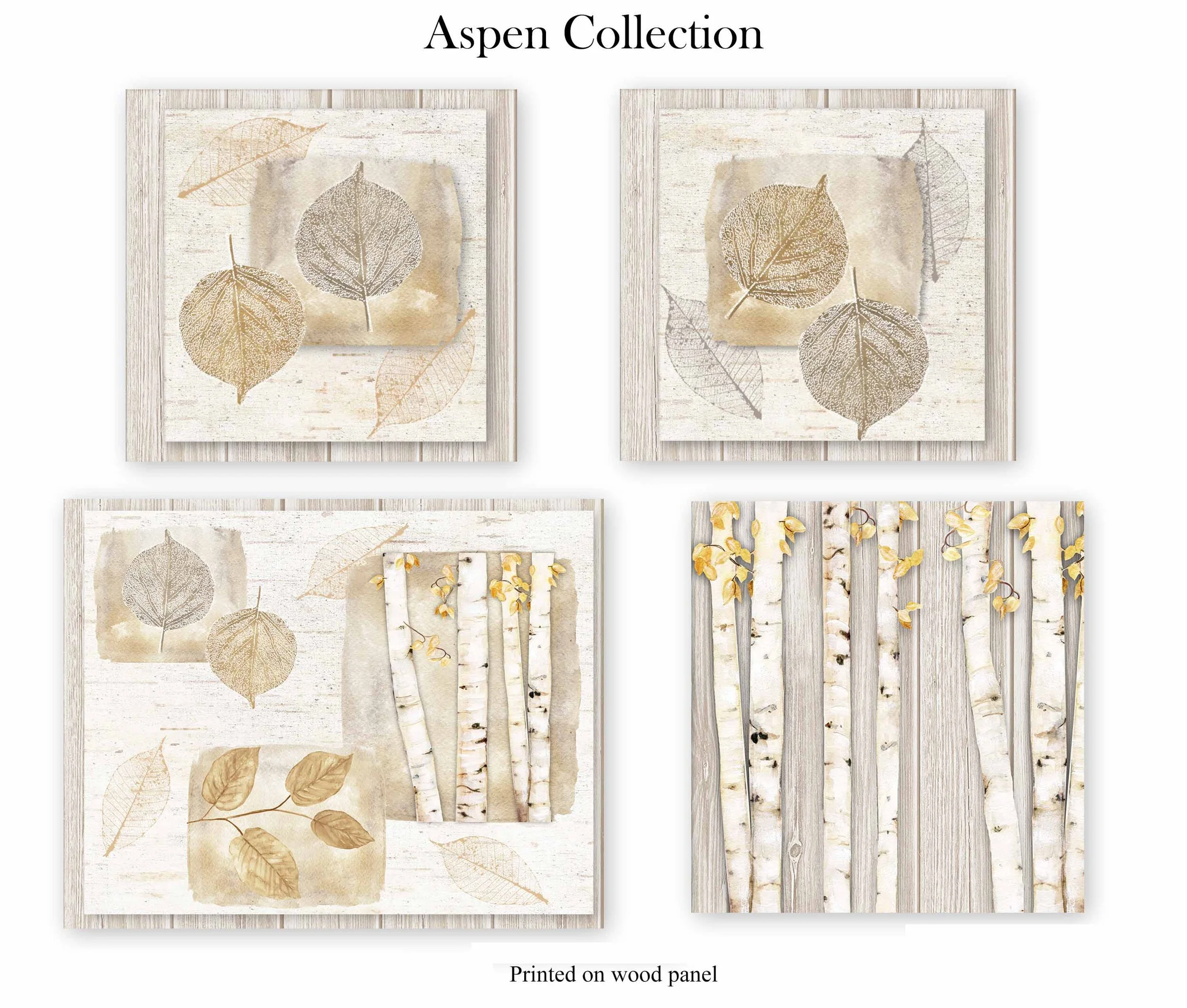 Aspen collection.jpg
