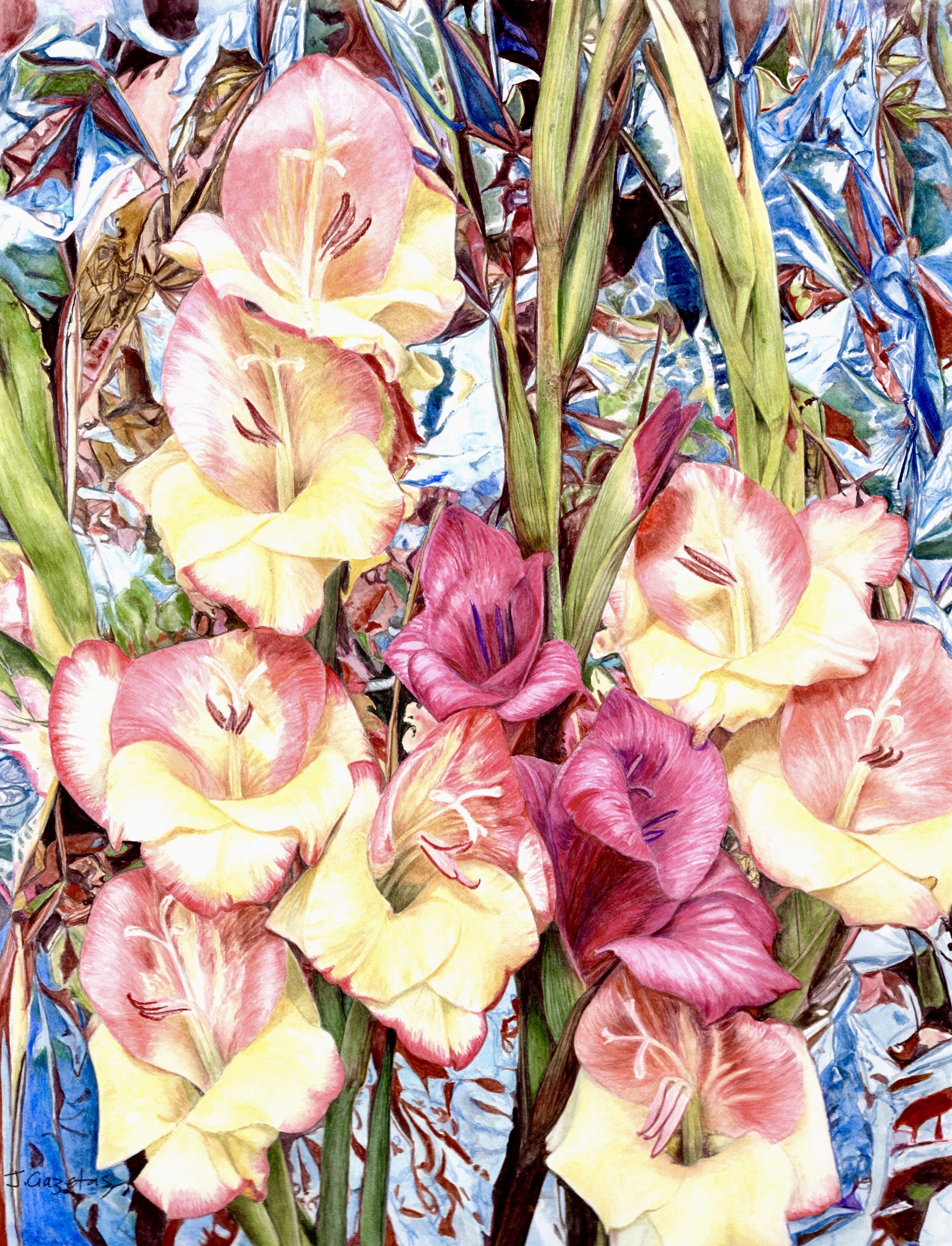 Gladiolus
(380 x 300 mm)