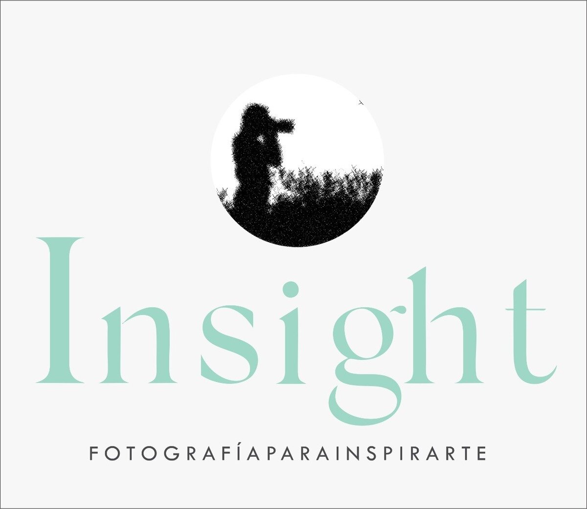 Insight Inspirarte
