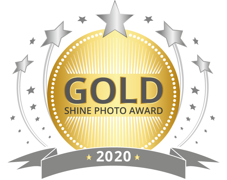 SHINE-Award-GOLD-2.png
