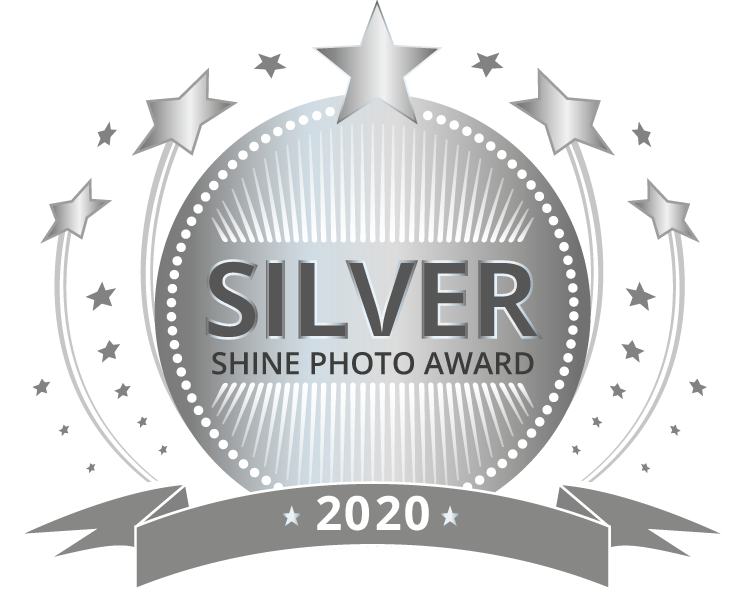 SHINE-Award-SILVER.png