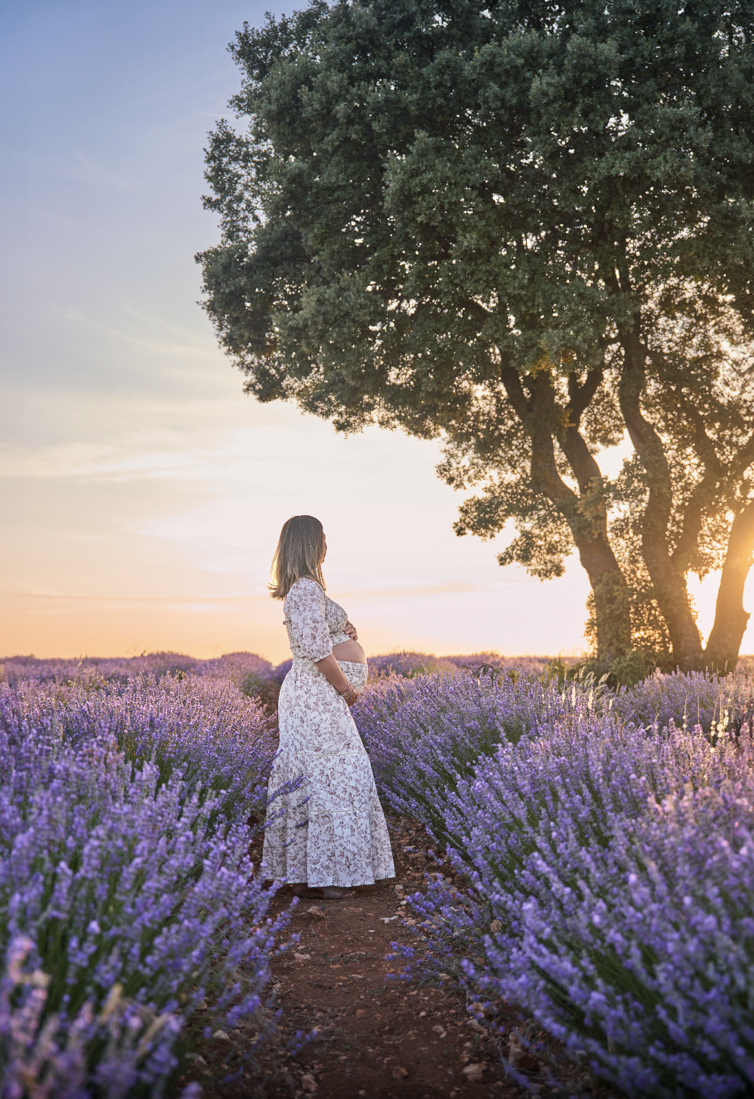 Una mujer embarazada en un campo de lavanda en flor durante la puesta del sol.