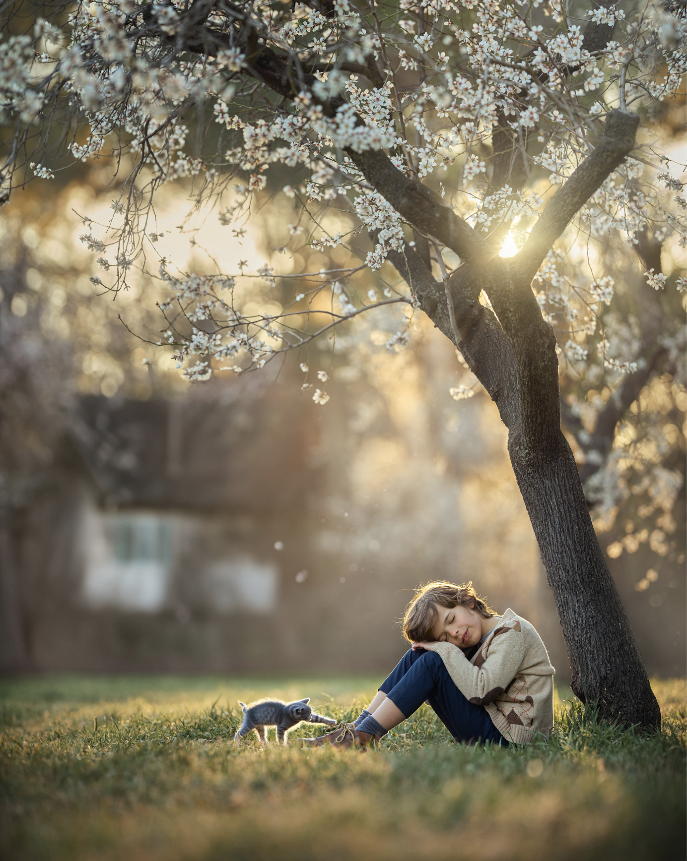 Taller de fotografía infantil artística en almendros en flor en Alcalá de Henares