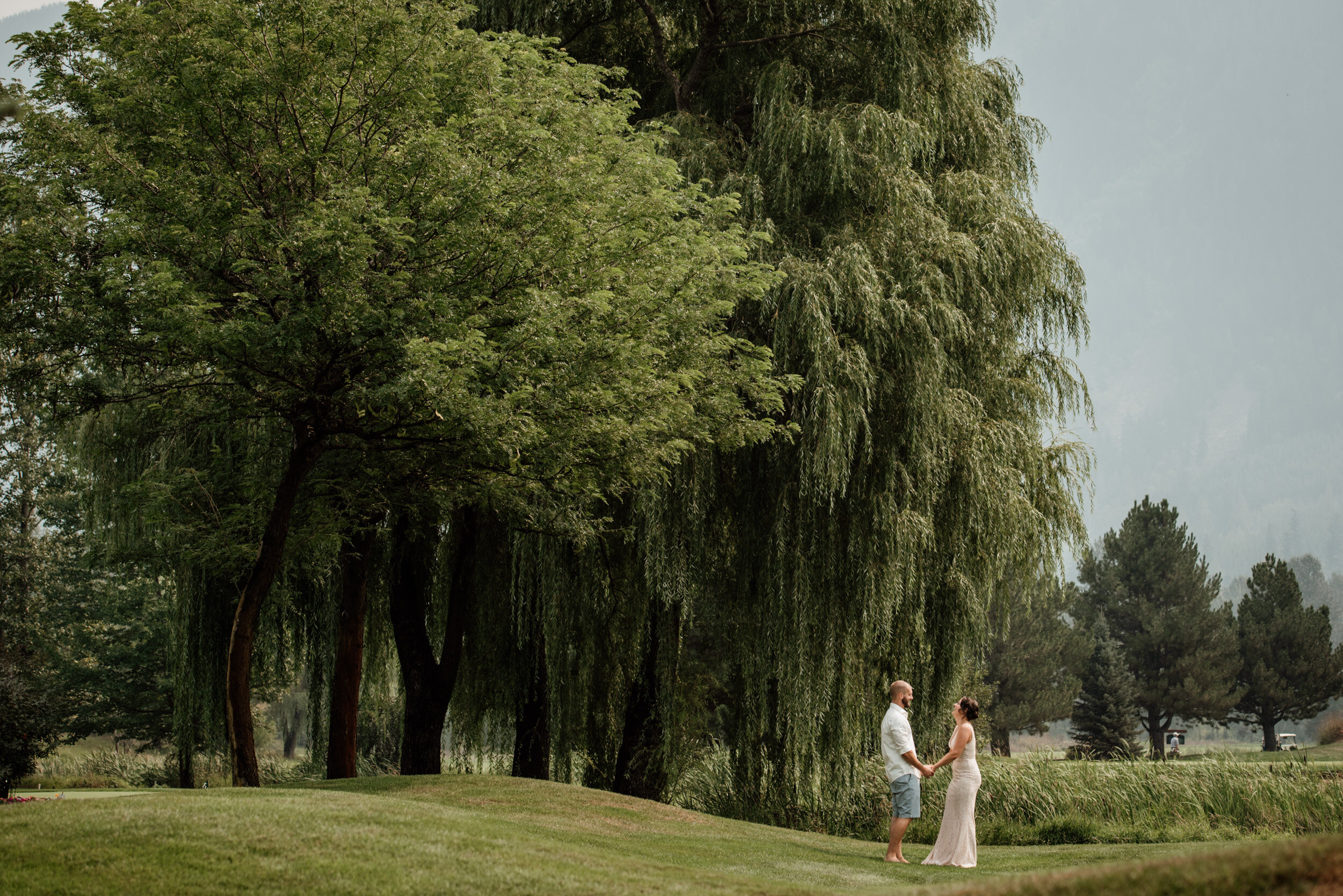 Pemberton Wedding Photography bride and groom portrait under the willow tree at big sky golf course
