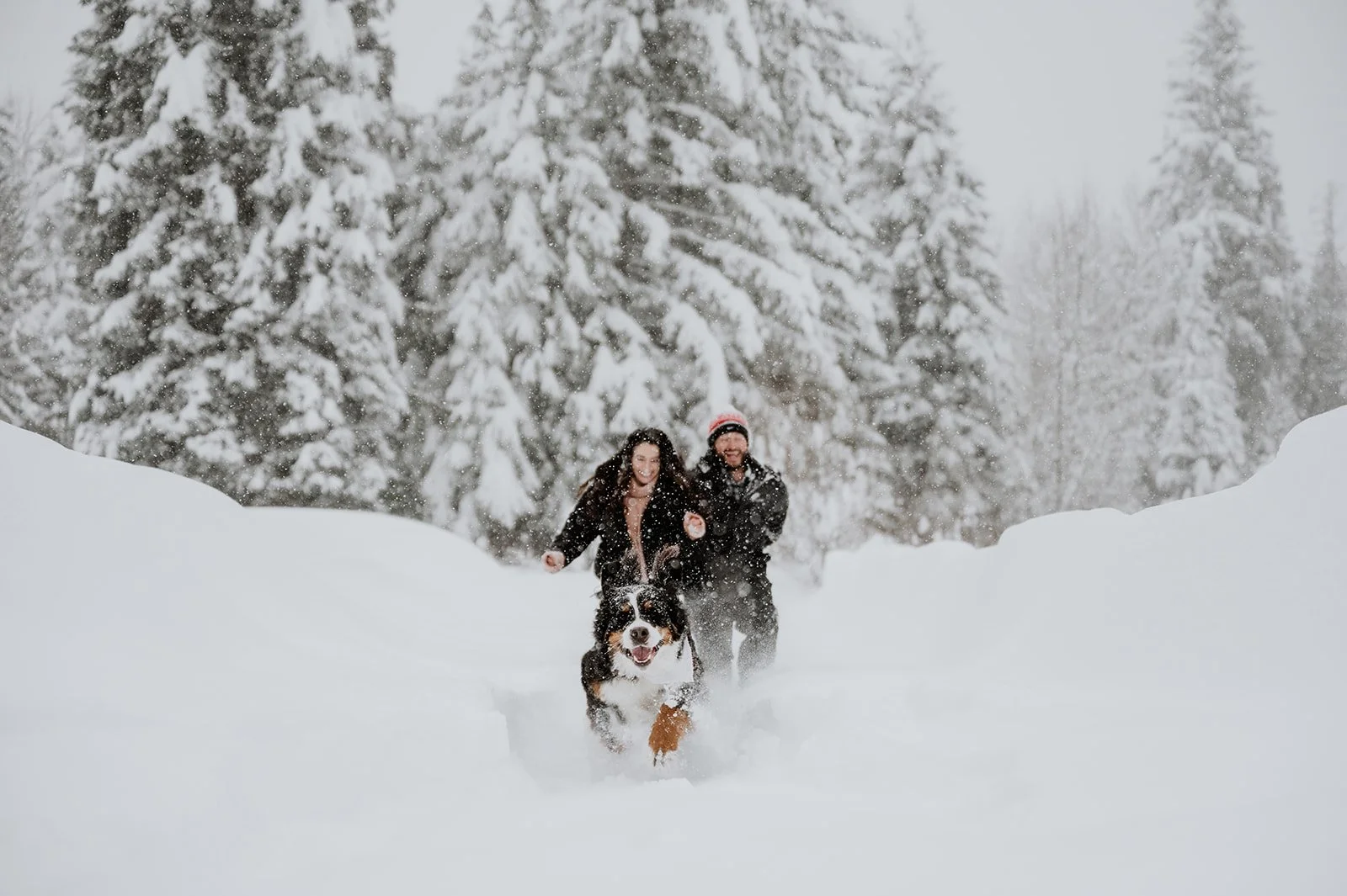 Dog Friendly Engagement Session in Whistler