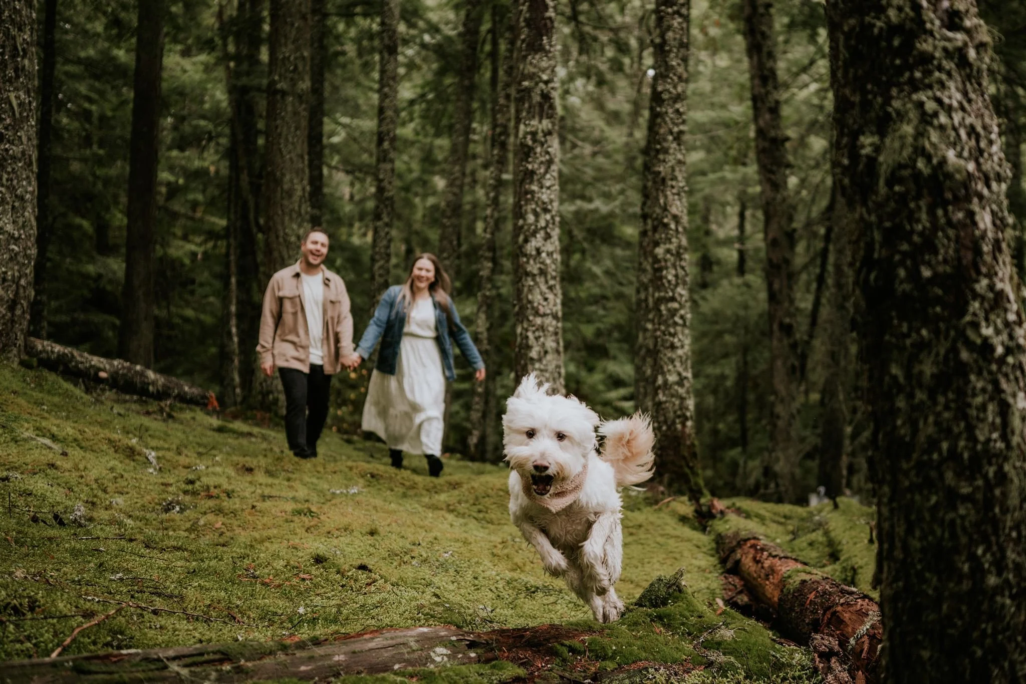 Dog-Friendly Engagement Photos in Whistler | Bring Your Dog to Your Engagement Session