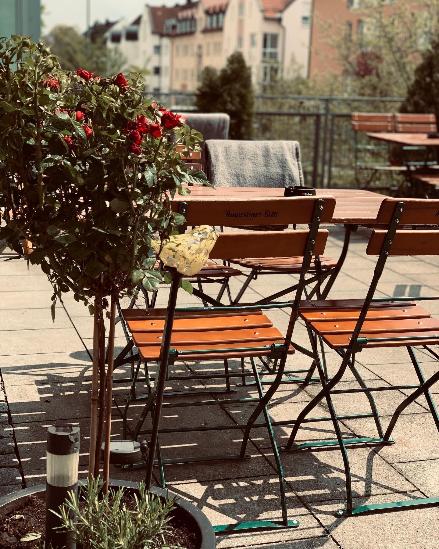 ☀️ Ein Platz an der Sonne ☀️ 

# dieessbar #restaurant #cafe #bar #getr&auml;nke #essen #durchgehendge&ouml;ffnet #terasse #ge&ouml;ffnet #spritz #liebevoll #sch&ouml;n #richtiggut #herzlichwilkommen #freising #lerchenfeld #marzling #langenbach #moos