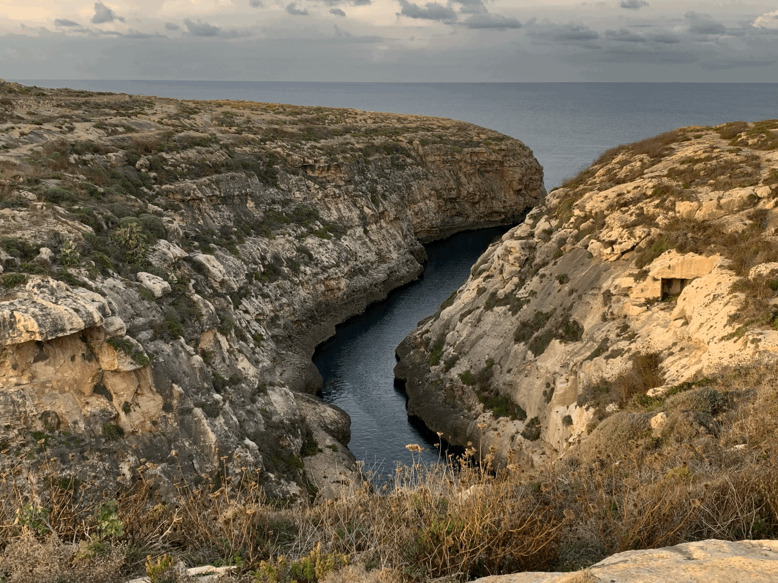 Coming soon: No other mother land. 