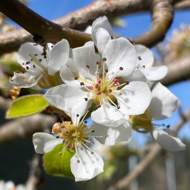 Keep your eyes peeled and your senses alert&mdash;there&rsquo;s wildlife all around us! From birdsong, rustling leaves, and flowers emerging, nature is always waiting to be discovered. Join us in observing and appreciating the wonders of the plant an