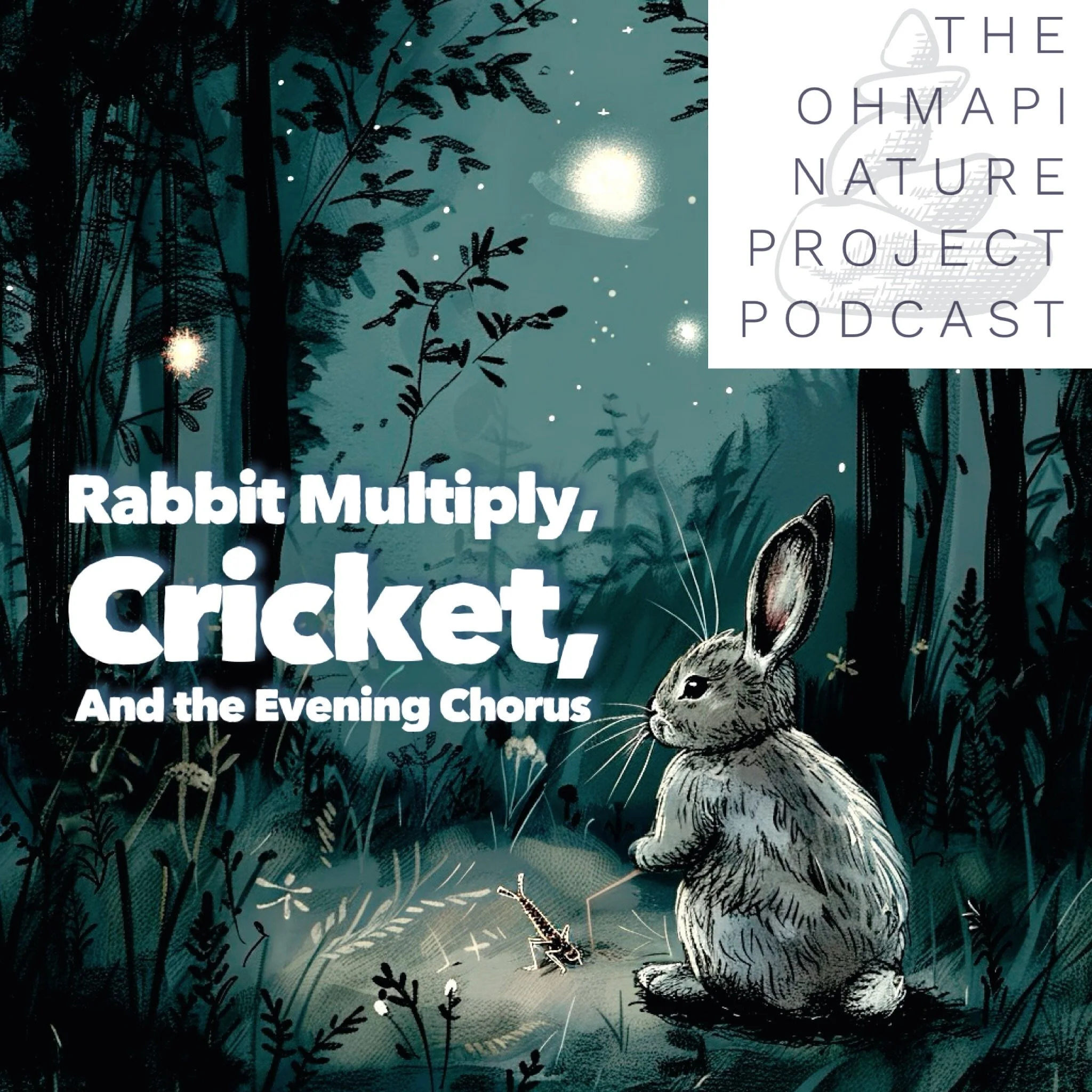 This week Rabbit heard the evening chorus and gets music lessons from cricket. Story by Dawn. 

Enjoy!