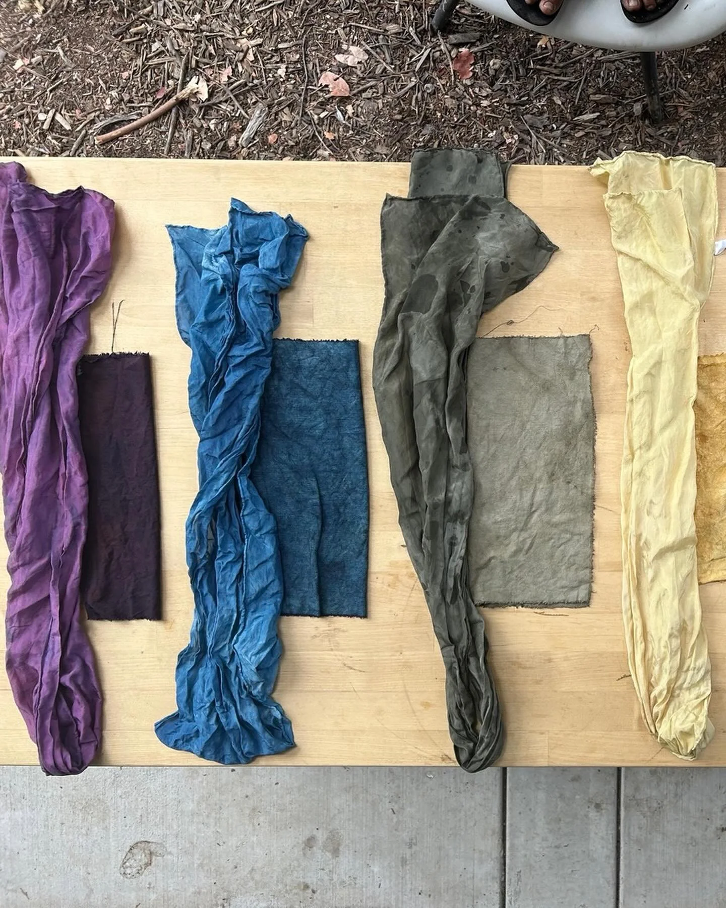 These are the results of our 1 day natural dye workshop. Seven kids and I dyed a whole rainbow of silks in one day using natural dyes. We used animals (cochineal), fungi (dyers polypore &amp; usnea) and plants harvest from the garden (peppermint, yar