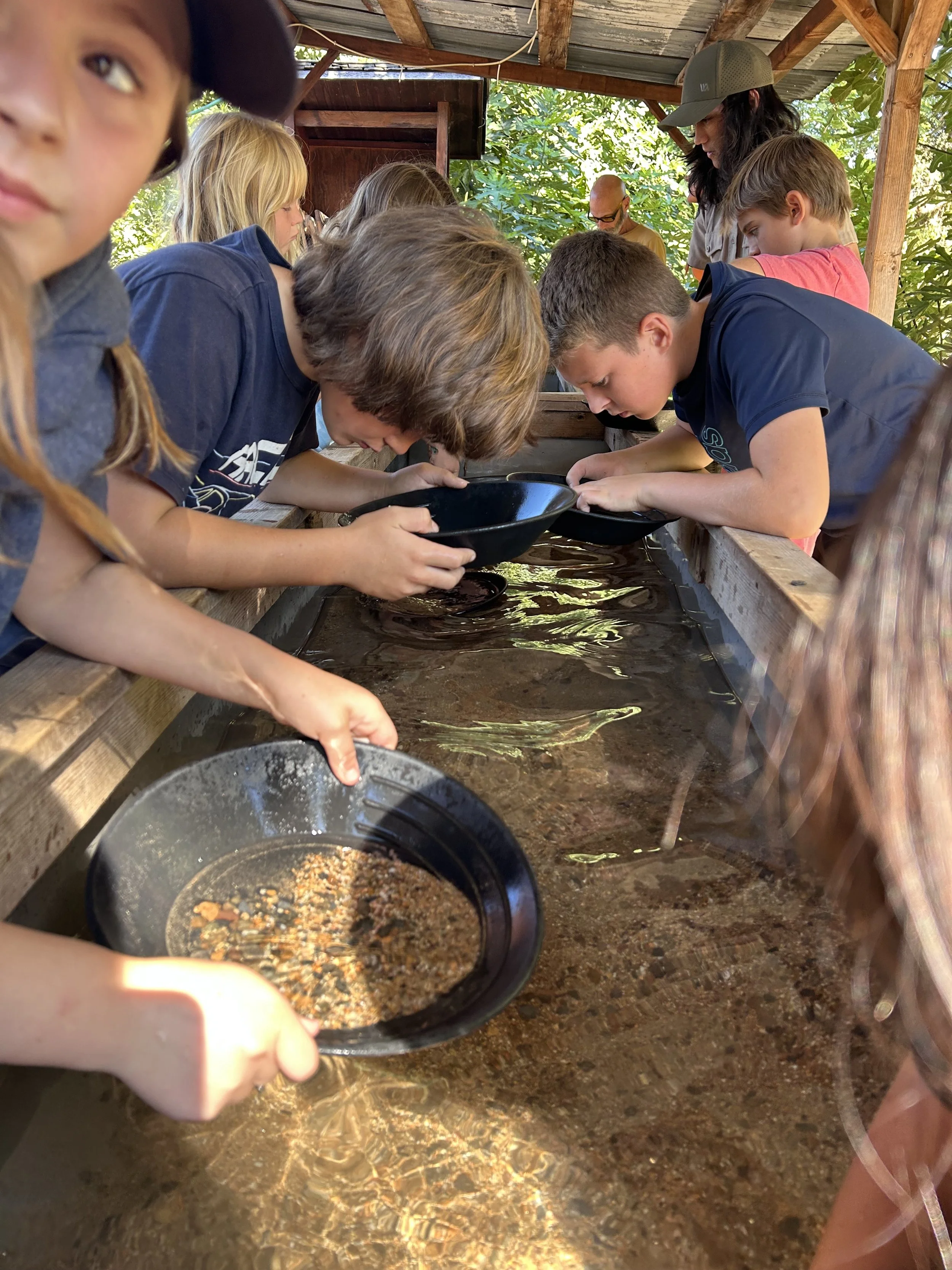 Field Trip to Marshall Gold Discovery Center
