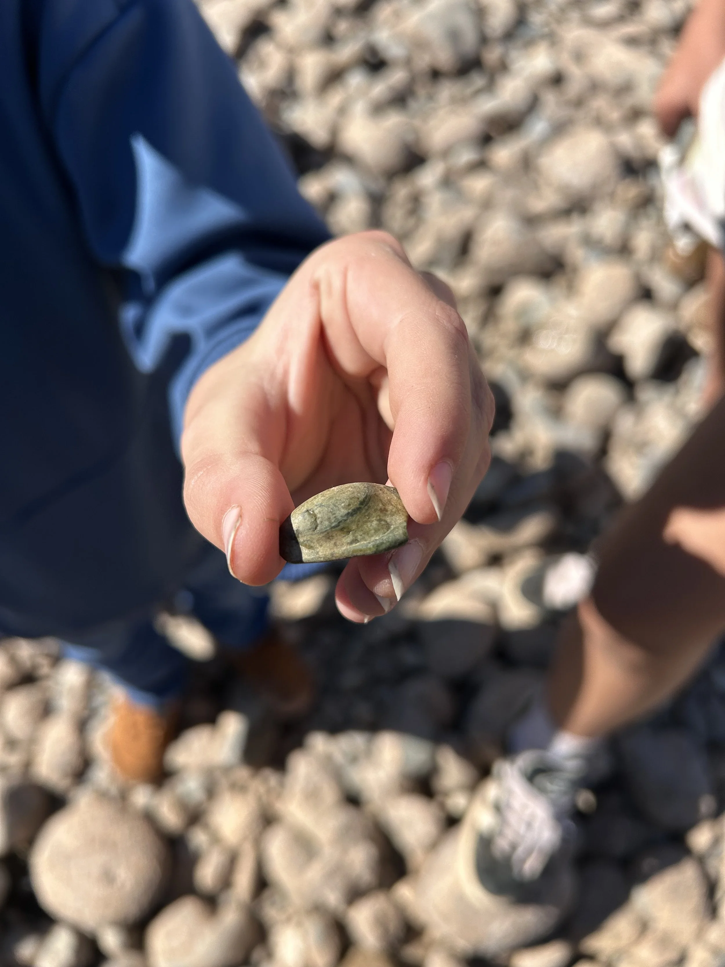 Field Trip to the Yuba River