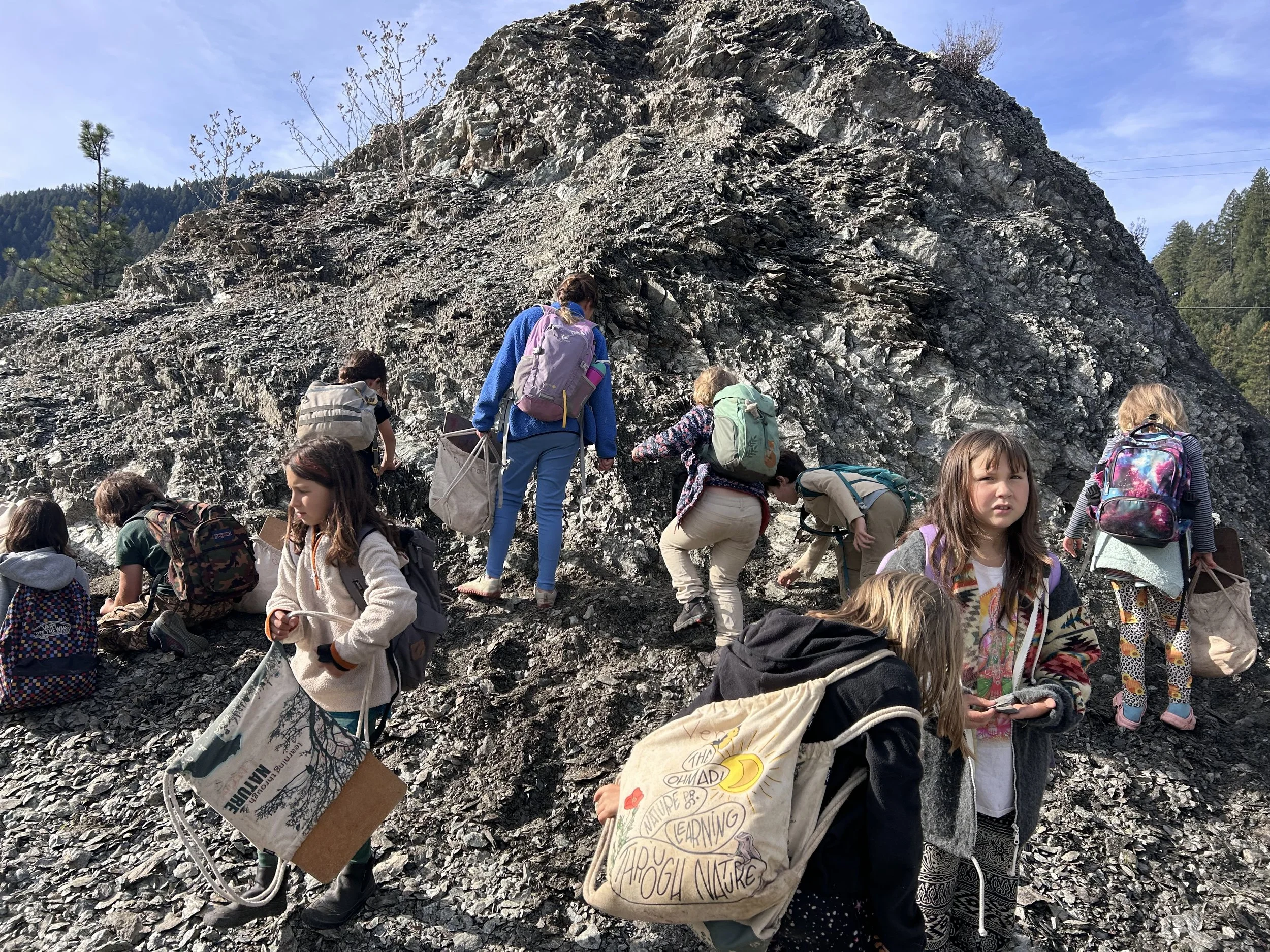 Field Trip to find our state rock: serpentinite