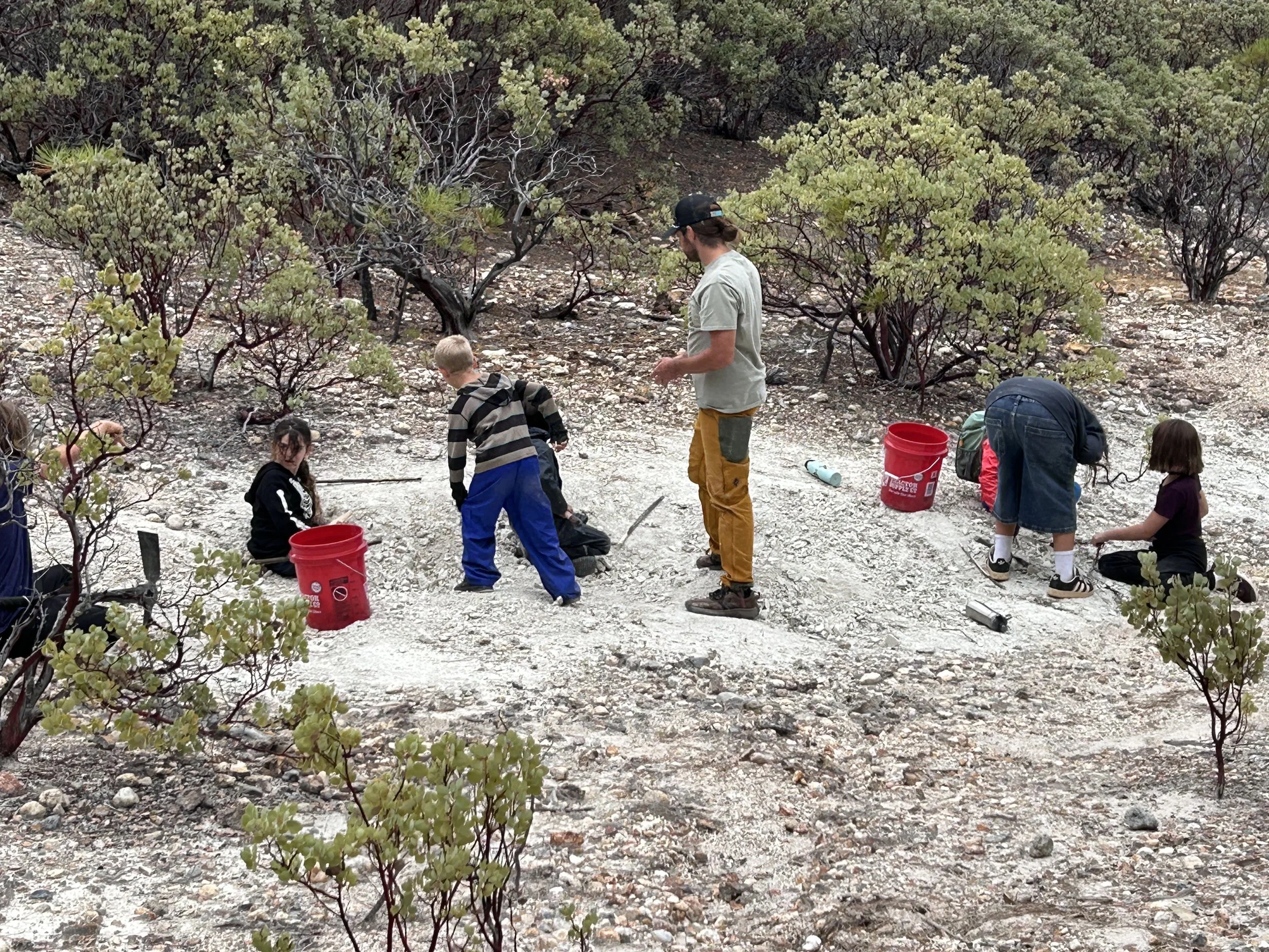 Field Trip to harvest clay for our pottery class