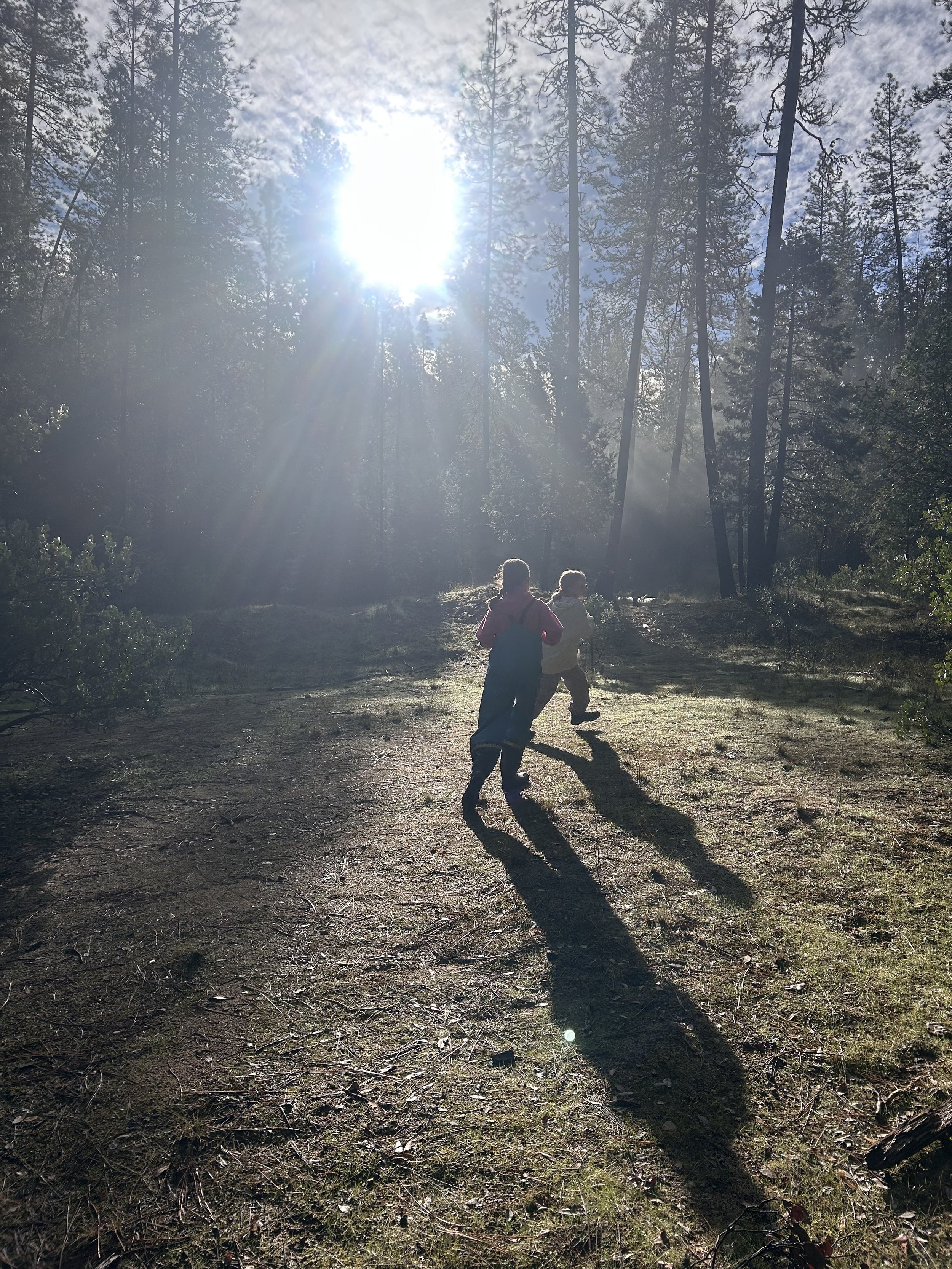 A Story for Winter Solstice