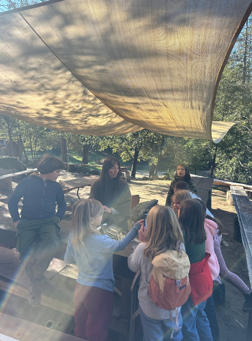 Screenshot 2026-01-20 at 4.43.10 PM.png