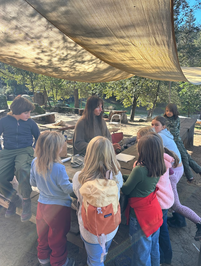 Hands-On Geology: Exploring the 3 Types of Rocks with Chocolate