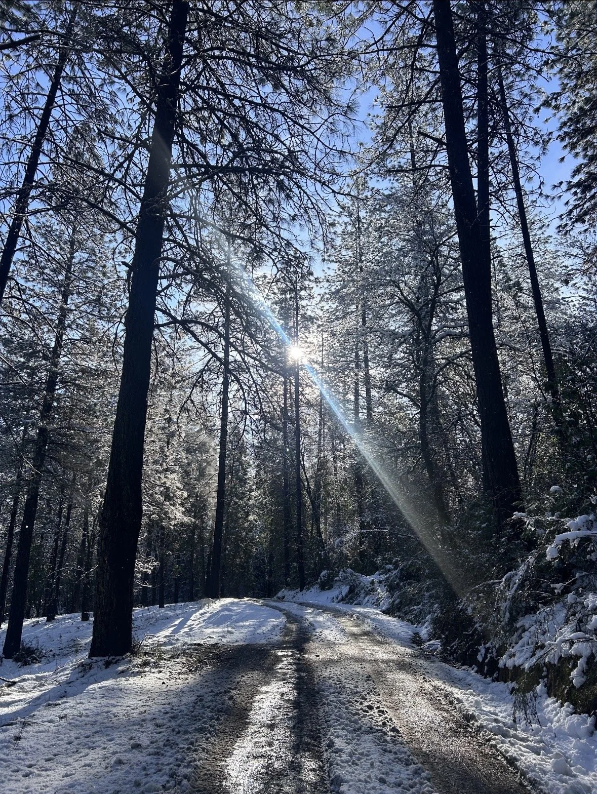 The Postcard Effect: Three Snow Days in the Foothills