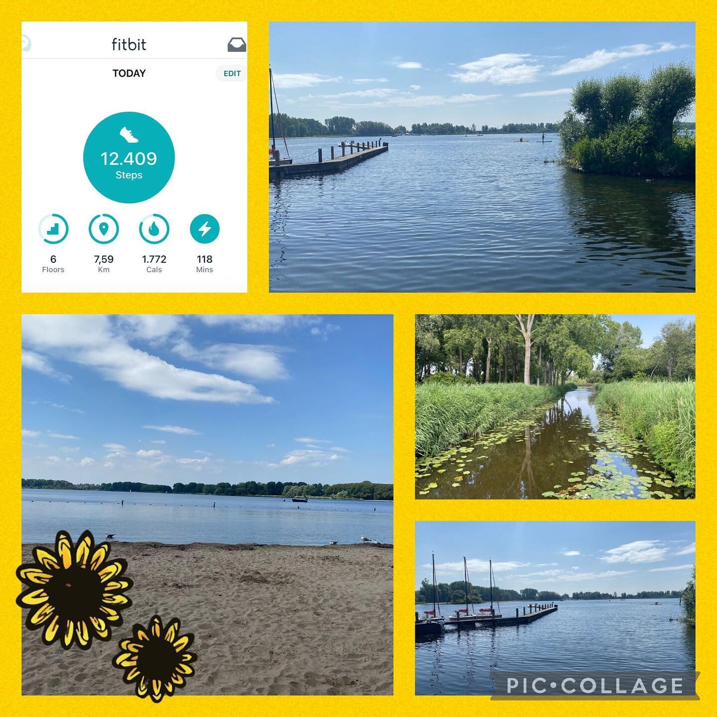 The sunflower run hasn&rsquo;t even officially started nevertheless we have our first runners, Martha and Henry !! Here are a collection of the pictures that they took today during their walk. 

Don&rsquo;t forget that there is still time to sign up 