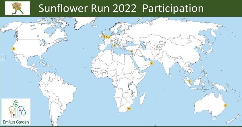 The sunflower run 2022 is going well, with our totals mounting and sunflowers all over the world.  Planning to walk, run, swim or cycle this weekend?  You could help us add another sunflower to the map and raise more money for the charities that Emil