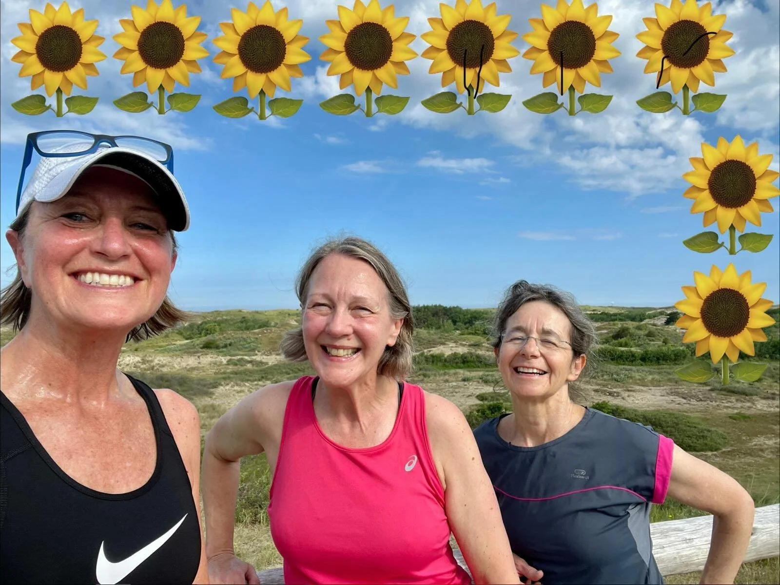Kicking off the countdown to Sunday&rsquo;s Sunflower Run with a run by Gianna, Clare and Marinella in the Netherlands! 🌻🌻🌻