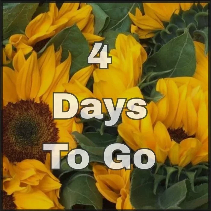 Four days to go until the Sunflower Run
2026!

Join us in person on Sunday June 28th at 3pm at Vlietland Voorschoten - on the beach next to the Gele Lis Parking Lot!

Virtual event: June 27th - July 5th wherever you are in the world!

Come and join u