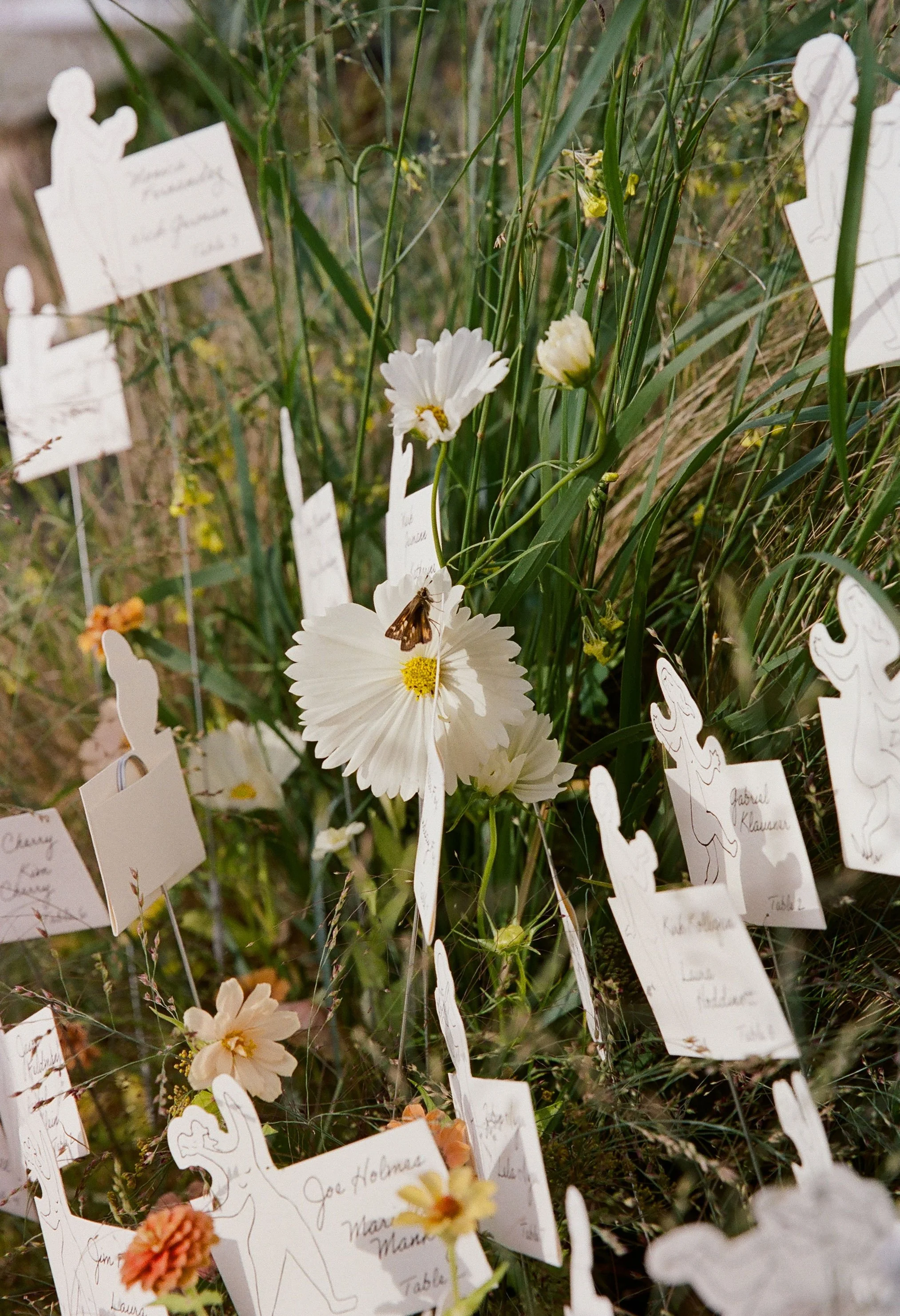 K&MWeddingPreview_IsabellaChimes-19.jpg