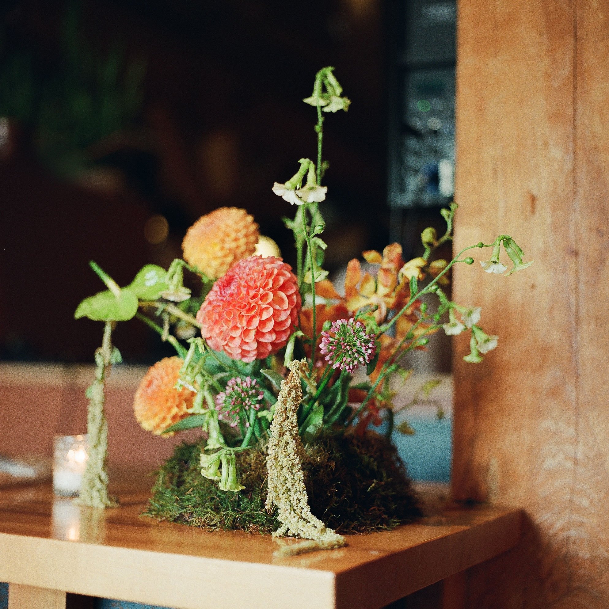 O&DWeddingSneaksFilm_IsabellaChimes-114.jpg