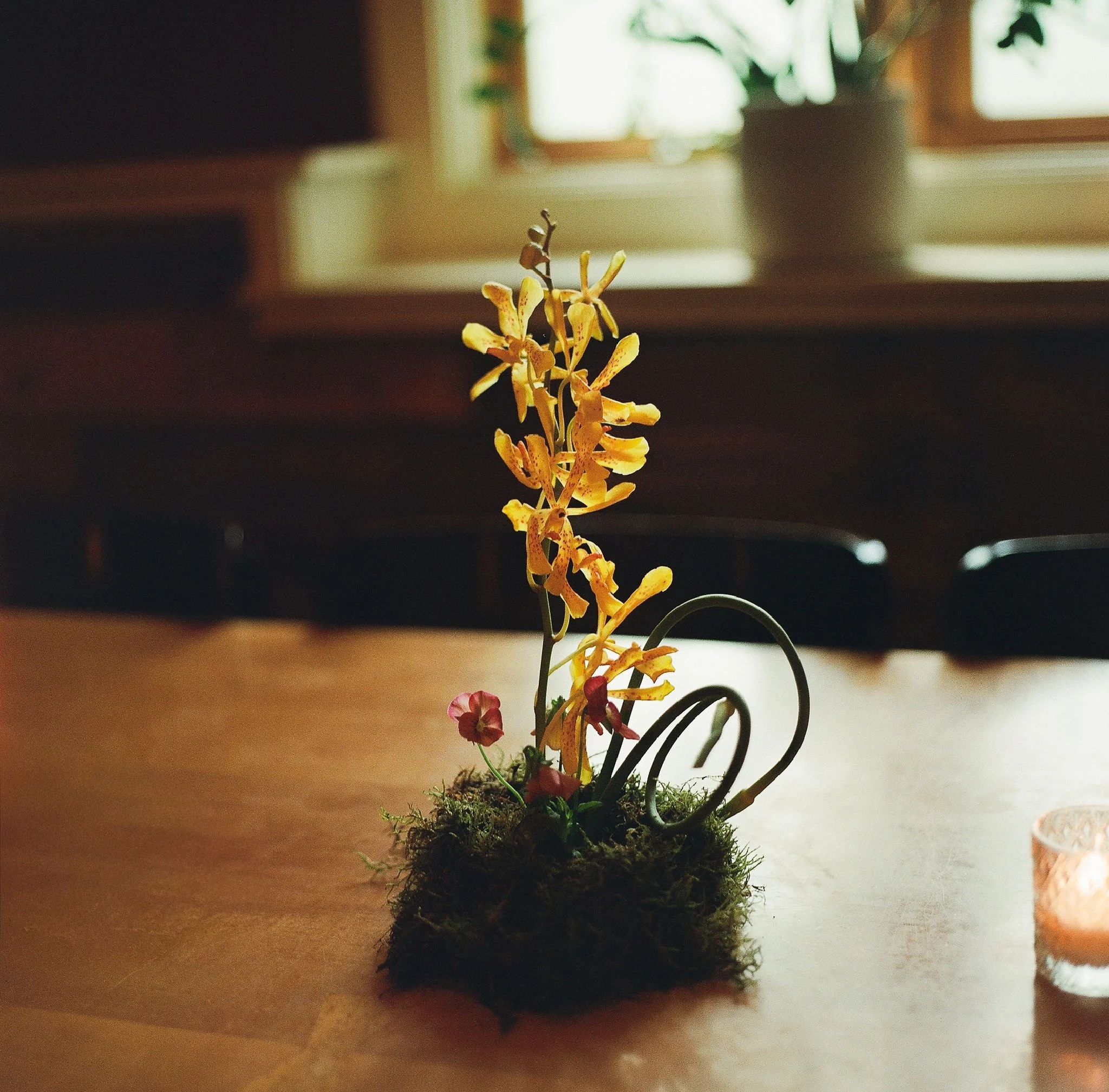 O&DWeddingSneaksFilm_IsabellaChimes-110.jpg