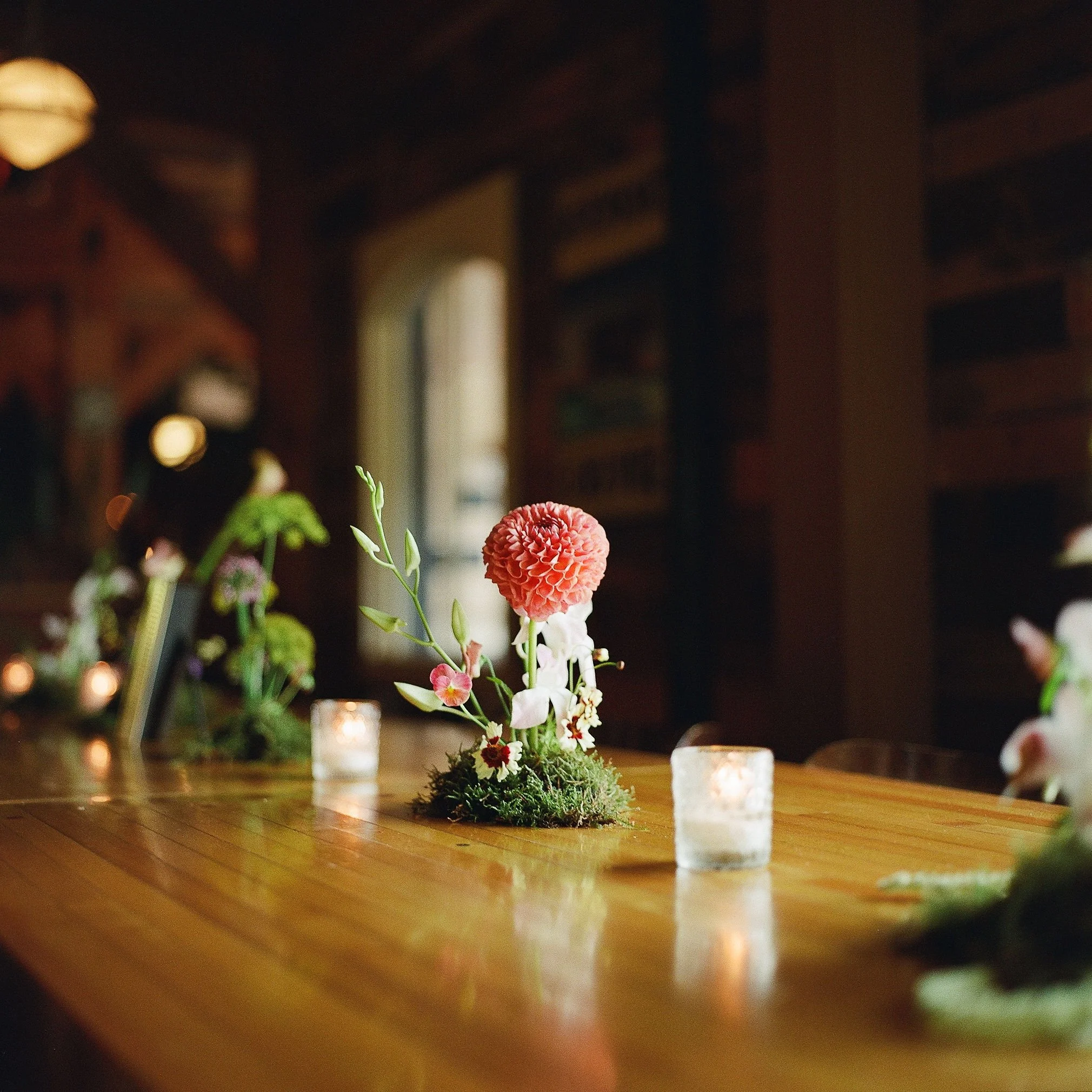 O&DWeddingSneaksFilm_IsabellaChimes-106.jpg